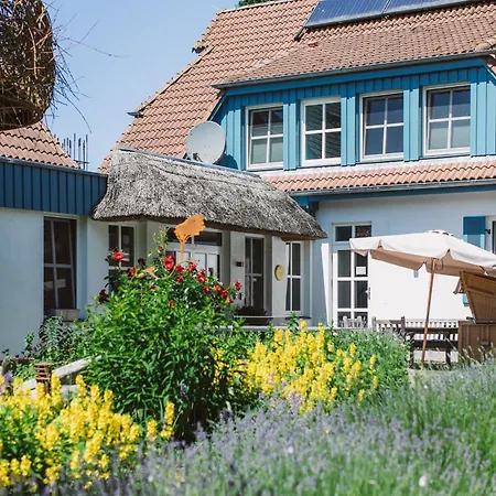 Haus Am Schilf - 5 Apartment Wieck